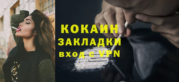 молекула духа Арсеньев