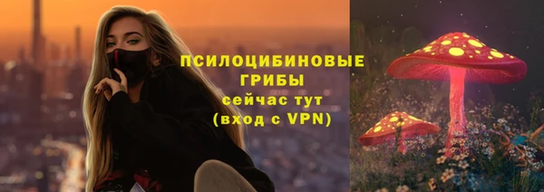 молекула духа Арсеньев