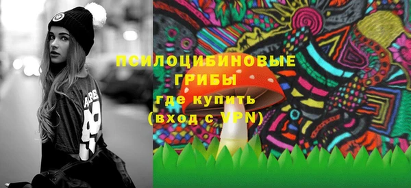 молекула духа Арсеньев