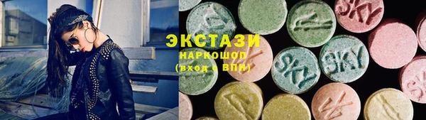 молекула духа Арсеньев