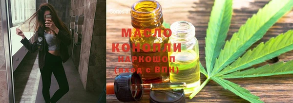 молекула духа Арсеньев